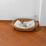 Na-home Melcherhof מלון דירות Grafenstein