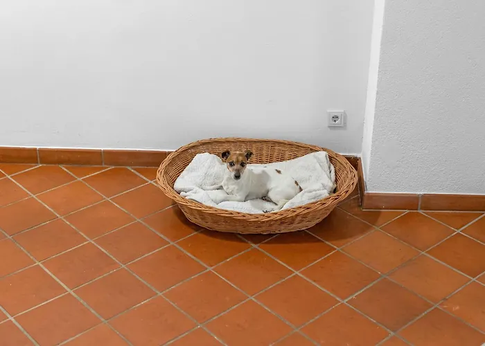 Na-home Melcherhof Hotel apartamentowy Grafenstein